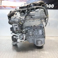 IMG_7111_5298ff7e-f440-4450-b4cb-875daec1c004