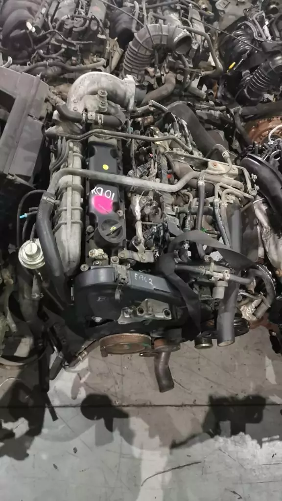 WhatsApp-Image-2023-12-12-at-12.27.32-3