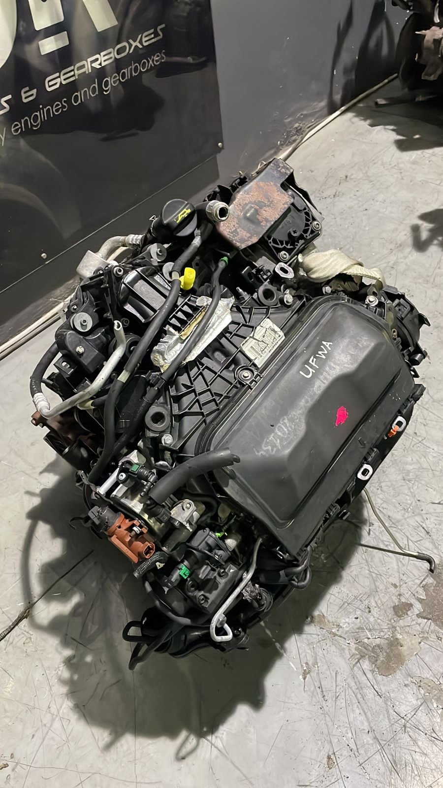 WhatsApp-Image-2023-12-12-at-12.31.26